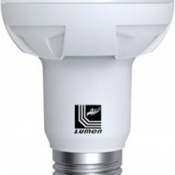 Adeleq Λάμπα LED για Ντουί E27 και Σχήμα R63 Θερμό Λευκό 620lm