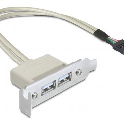 DELOCK κάρτα επέκτασης USB 9 pin σε 2x USB 2.0 83119, low profile