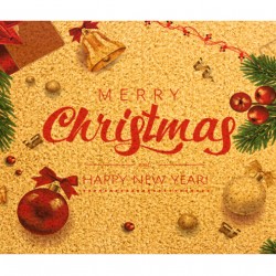 HOME USE πατάκι εισόδου HUH-0205, αντιολισθητικό, 60x40cm, 8mm πάχος, καφέ