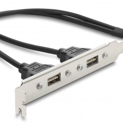 DELOCK κάρτα επέκτασης USB 9pin σε 2x USB 2.0 91800, 480Mbps